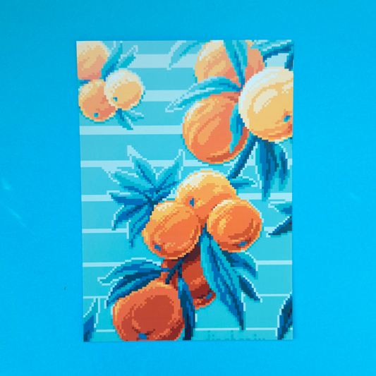 Print A6 Set: Citrus