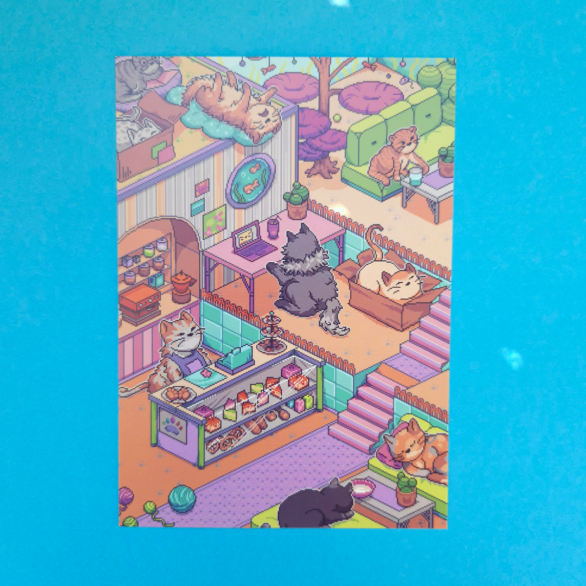 Print A6 Set: Cat, Cat, Duck